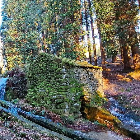 Matos Casas De Campo Cabeceiras de Basto Exteriér fotografie