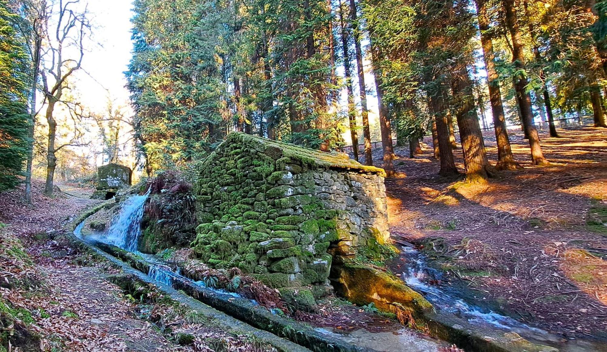 Matos Casas De Campo Cabeceiras de Basto Exteriér fotografie