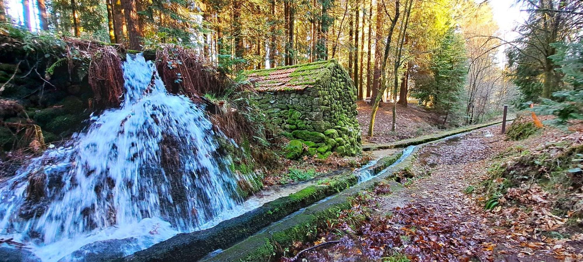 Matos Casas De Campo Cabeceiras de Basto Exteriér fotografie