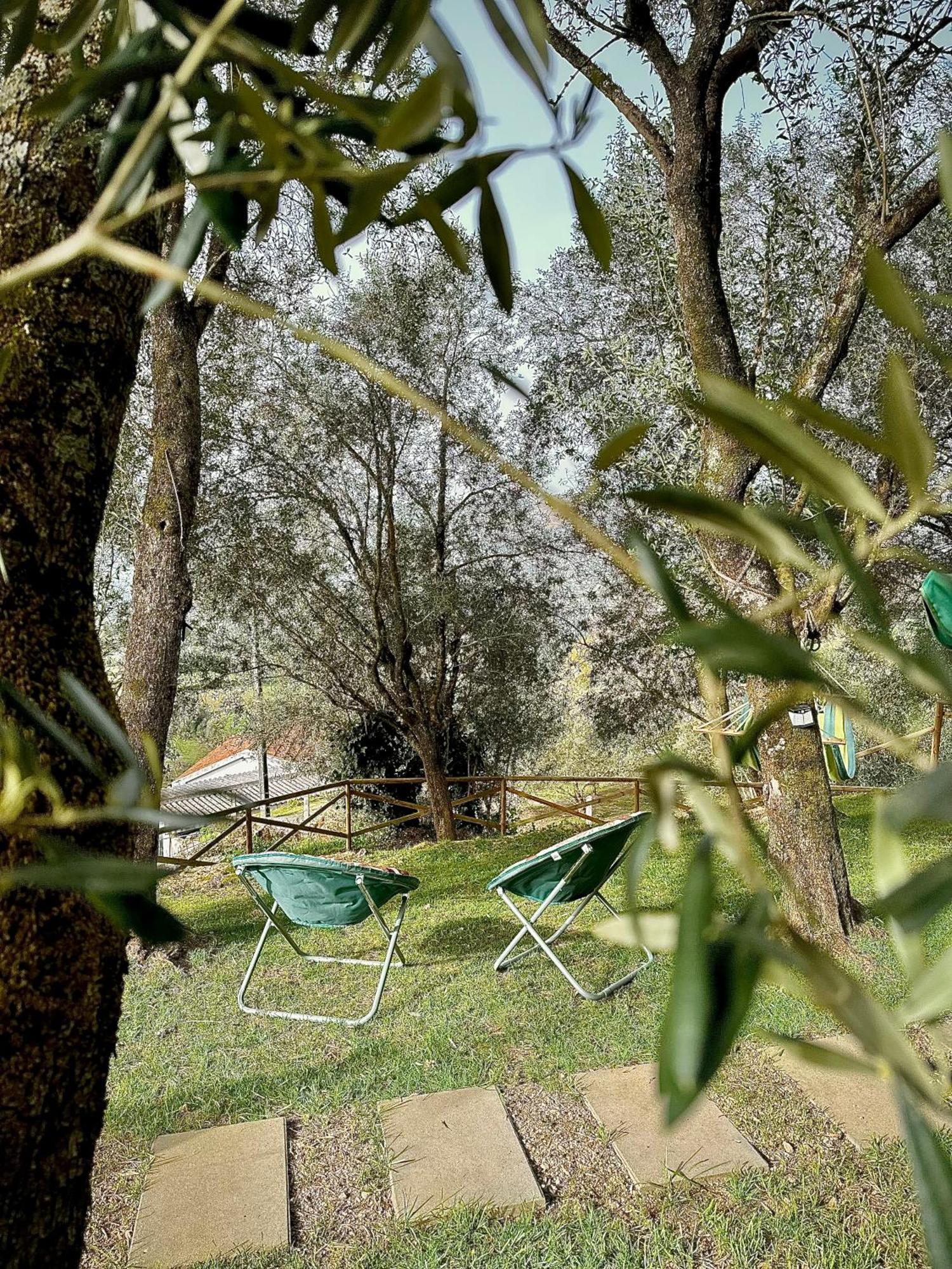 Matos Casas De Campo Cabeceiras de Basto Exteriér fotografie